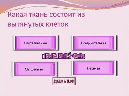 Как называется наука о внешнем строении