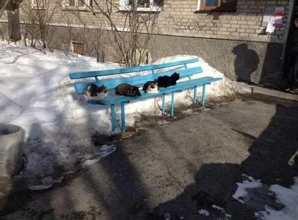 Занять под 0