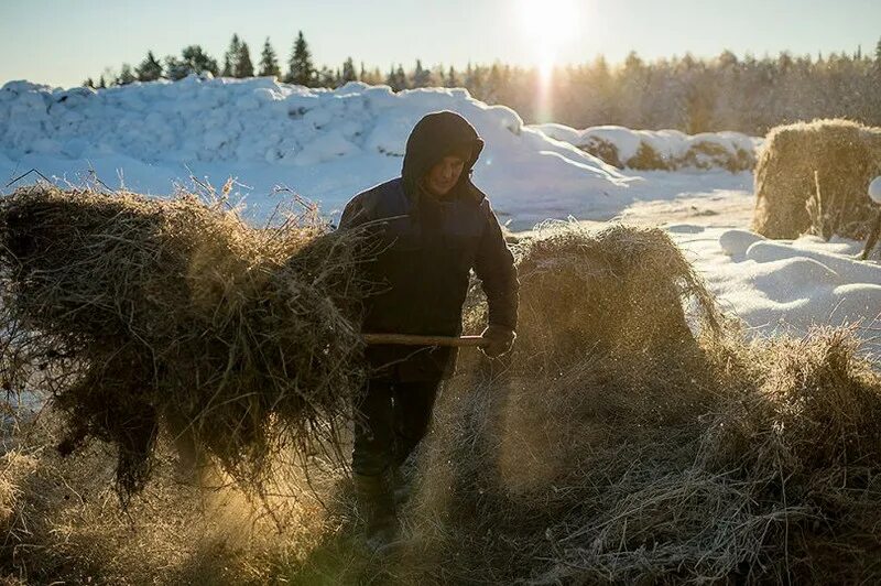 Жизнь в деревне. Деревенская жизнь. Деревенские люди фото. Жизнь в деревушке. Пахло свежим сеном