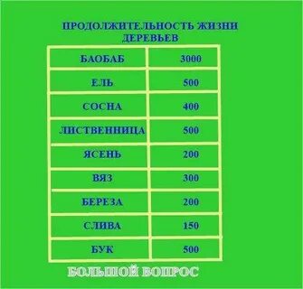 Какое дерево сколько живет таблица