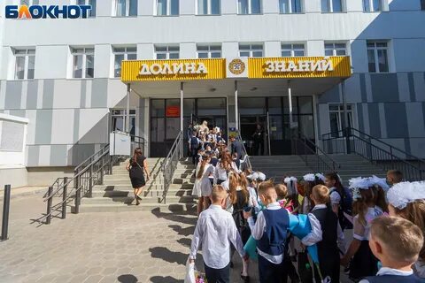 Дистант в школах выборы