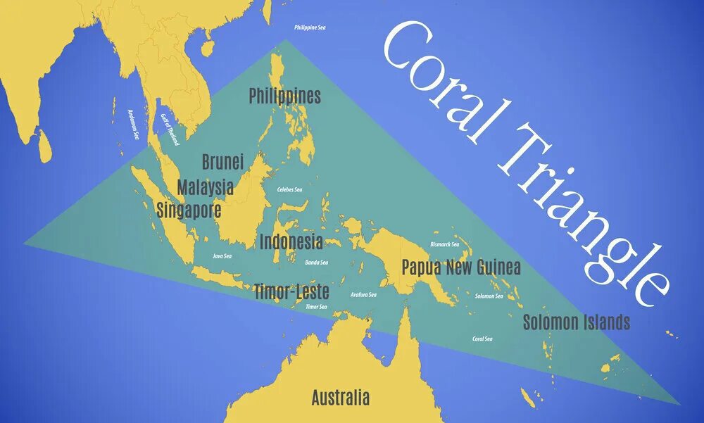 Филиппины индонезия малайзия. The Coral Triangle. Острова кораллового треугольника. Коралловый треугольник на карте. Коралловый треугольник.