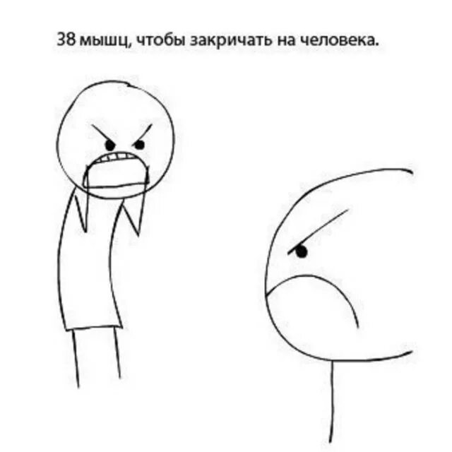Сколько мышц чтобы улыбнуться. Сколько нужно мышц чтобы улыбнуться. сколько используют мышц чтобы улыбнуться. человеку нужно 3 мышцы чтобы улыбнуться. когда человек улыбается сколько мышц работает.