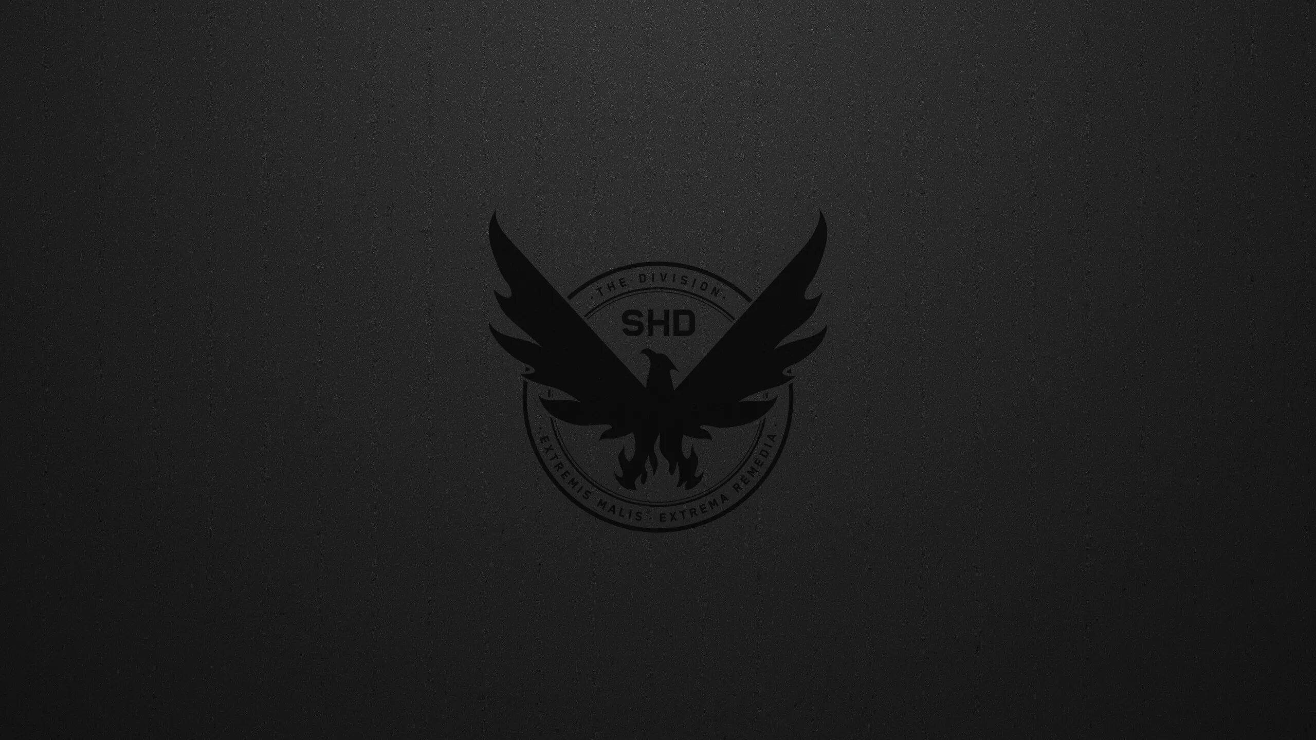 21 9. Tom Clancy's the Division 2 обои. The Division 2 Wallpaper. Обои 2к на рабочий стол. The Division 2 обои 1920 1080.