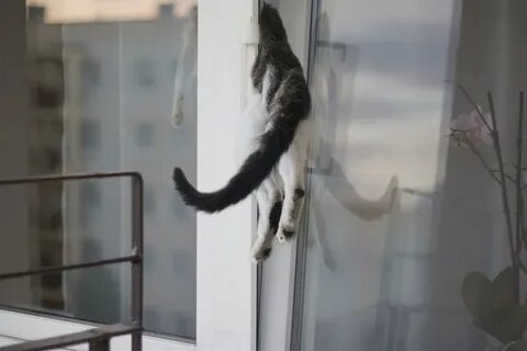 Опасное проветривание