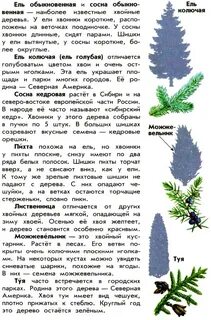 Шишки и хвоя разных деревьев атлас определитель