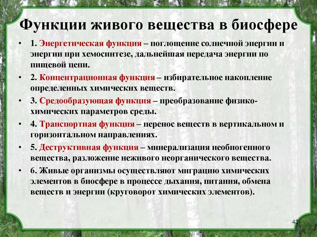 Функции живого вещества в биосфере по Вернадскому. 11 Класс биология Биосфера-функции живого вещества. Функции живых организмов по Вернадскому. Фуекцииживого вещества.