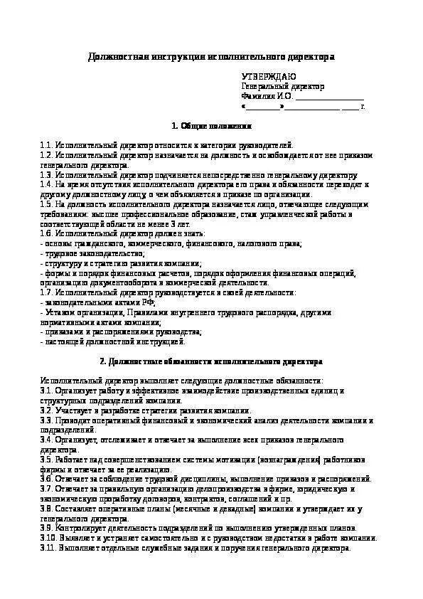 Инструкция исполнительного директора. Должностные обязанности исполнительного. исполнительный директор должностные обязанности. должностная инструкция исполнительного директора на производстве. должностные функции исполнительного директора.