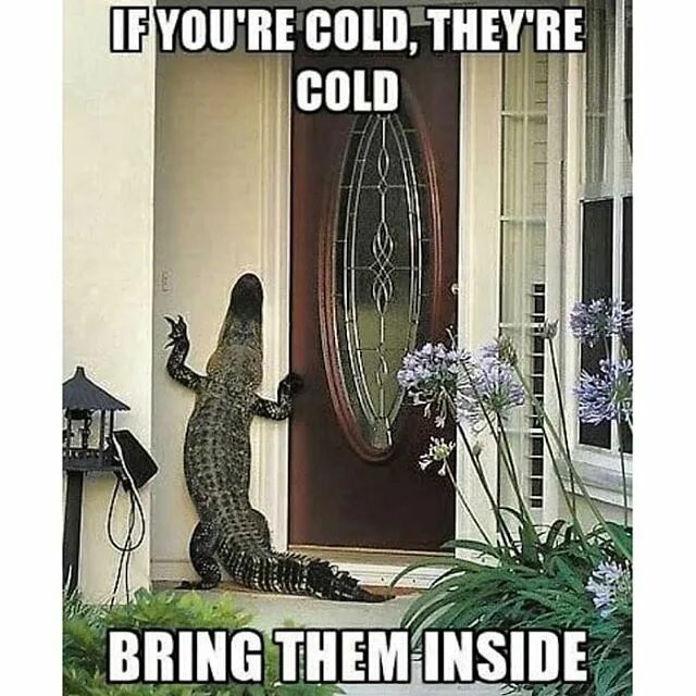 Can bring you a. If you&#039;re cold they are cold. if you&#039;re cold they re cold bear. if you&#039;re cold they are cold put them in your mouth.