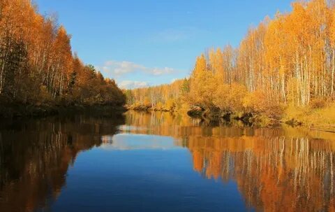 Золотая река