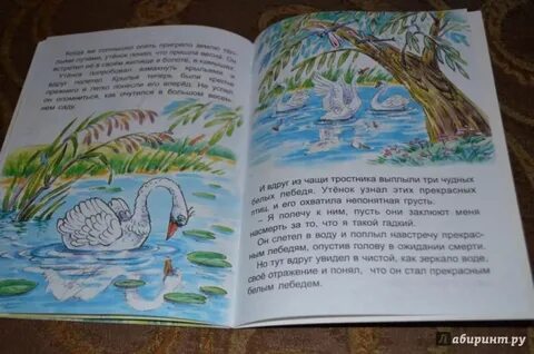 Отзыв на сказку гадкий утенок