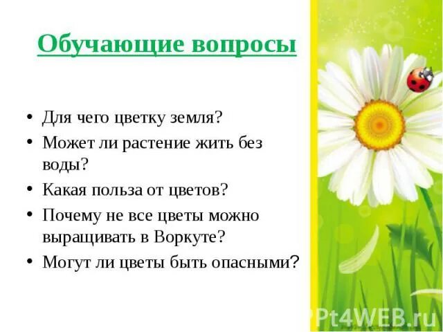 Вопросы к произведению цветок на земле. Цветочек на земле вопросы. Цветок на земле вопросы по содержанию. План рассказа цветок на земле. Вопросы к произаедению "цветок на земле ".