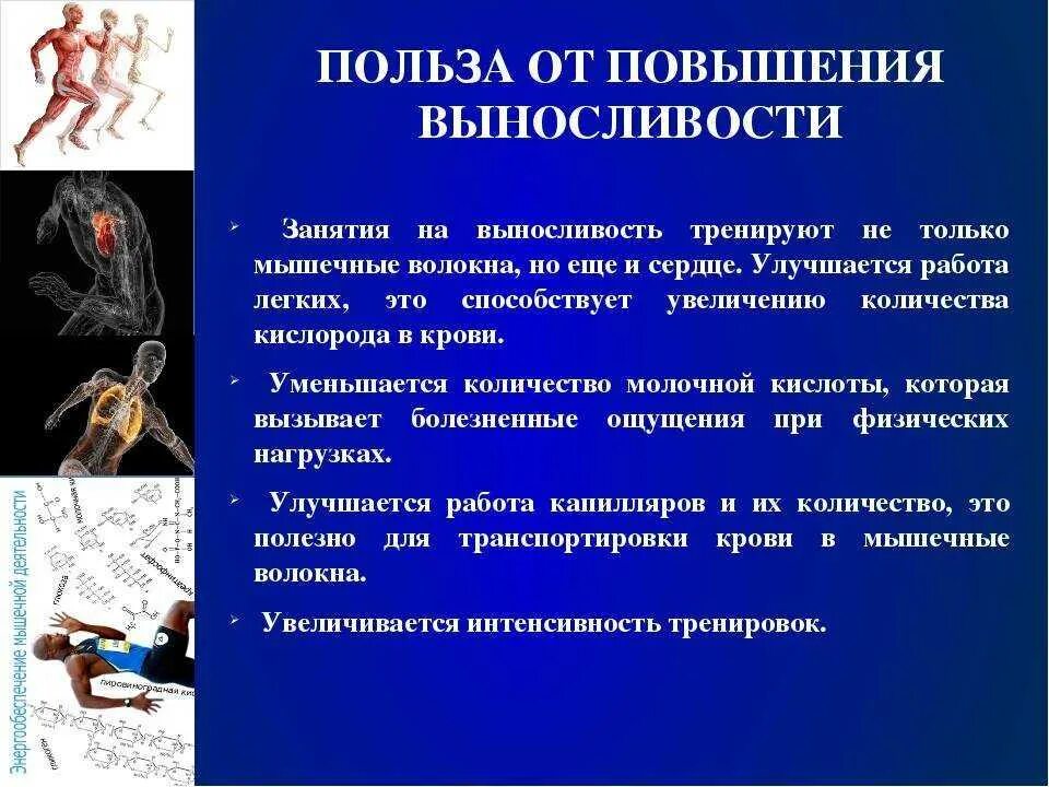 Тренировка выносливости мышц. Тренировка для повышения выносливости. упражнения для развития выносливости. упражнения для увеличения выносливости. комплекс на выносливость.