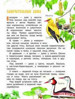 Иволга песня текст