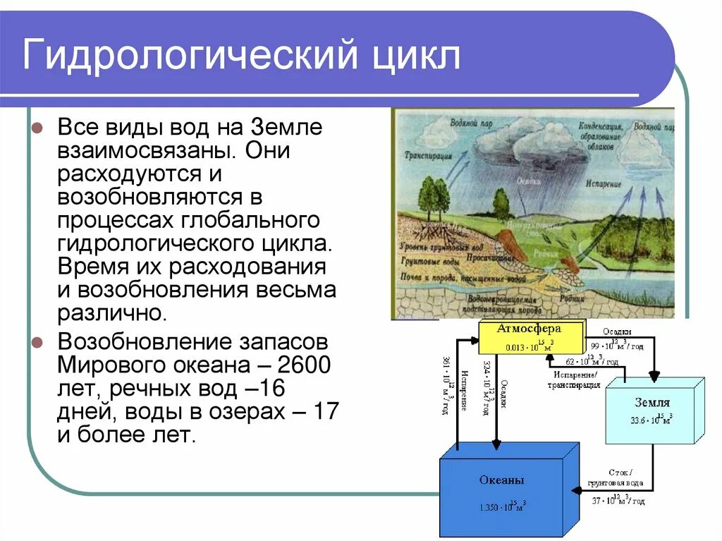 Типы водного режима. Гидрологический режим вод. Что изучает гидрология. Изменение водного режима. Гидрологические параметры водных объектов.