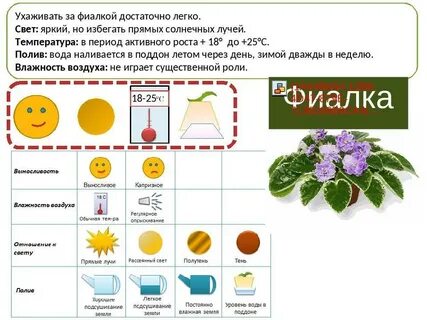 Схемы картинки ухода за растениями