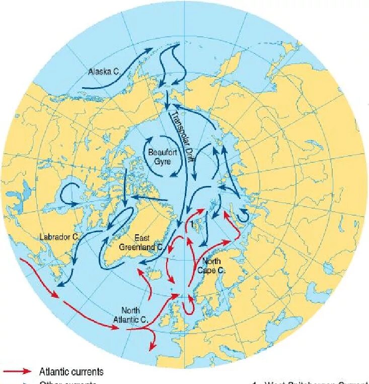 Течения Северного Ледовитого океана. Теплые течения Северного Ледовитого океана. Течение течение Северного Ледовитого океана. Течения Северного Ледовитого океана на карте.