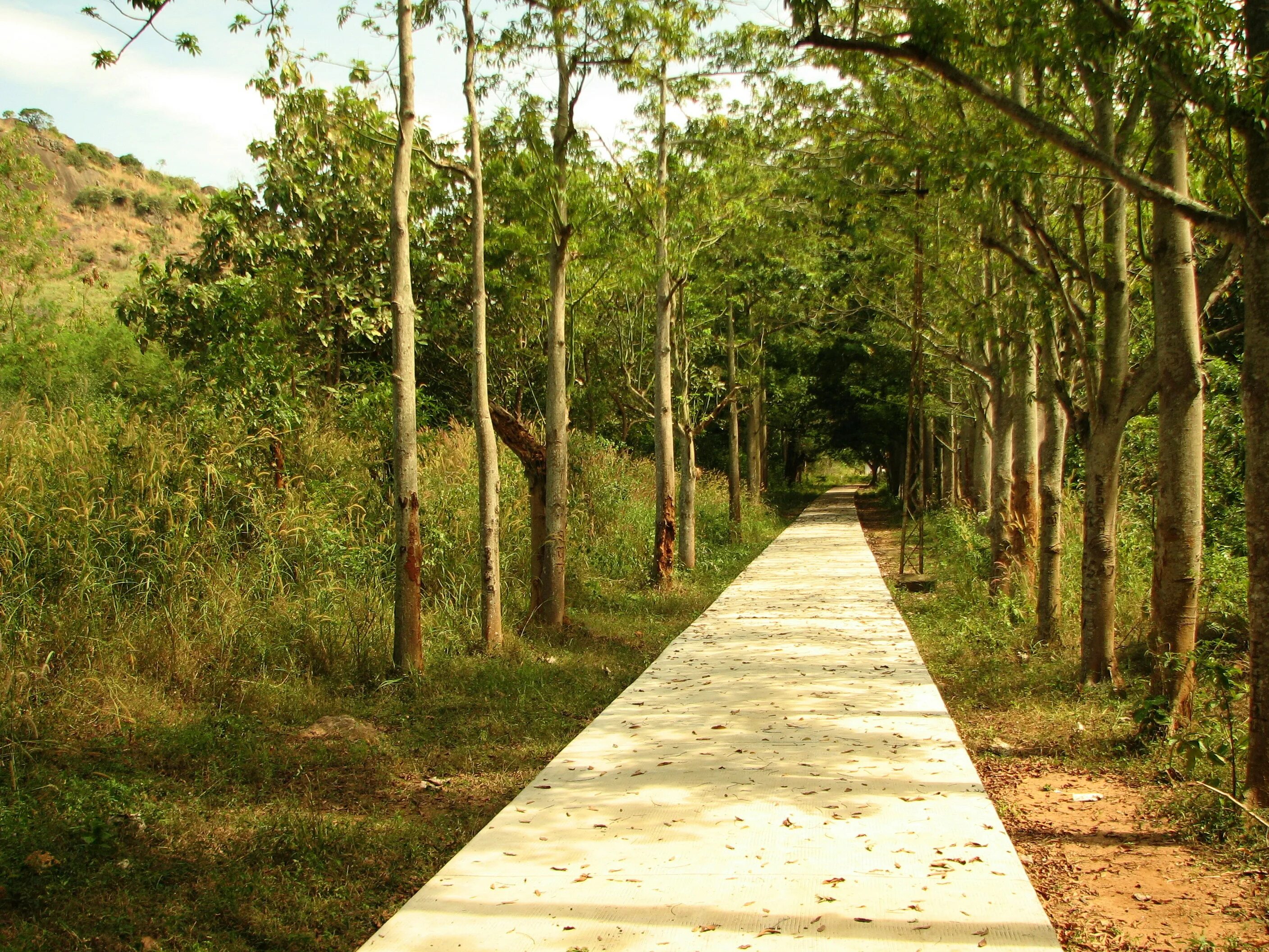 Парк jpg. Pathway. Pathway Hoarding. Wooden Outer Pathways.