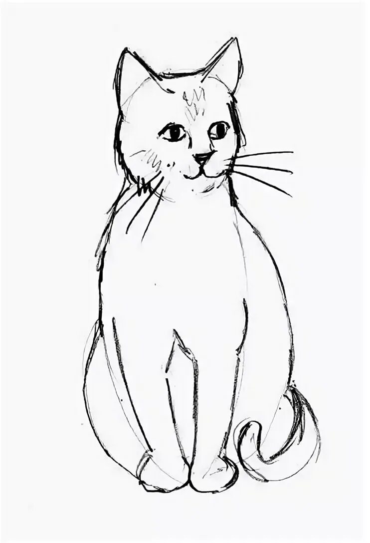 Рисунки котиков для срисовки. Рисунки карандашом. Кошка для срисовки. Рисунки лохкие. Рисунок легкий.