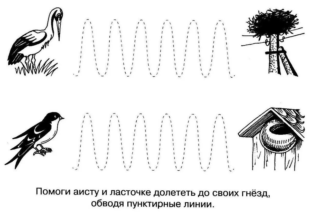 Задания про птиц. Задание перелетные птицы для дошкольников задания. Перелетные птицы графомоторика. Перелетные птицы задания логопеда для дошкольников. Задания для детей на тему перелетные птицы для дошкольников.