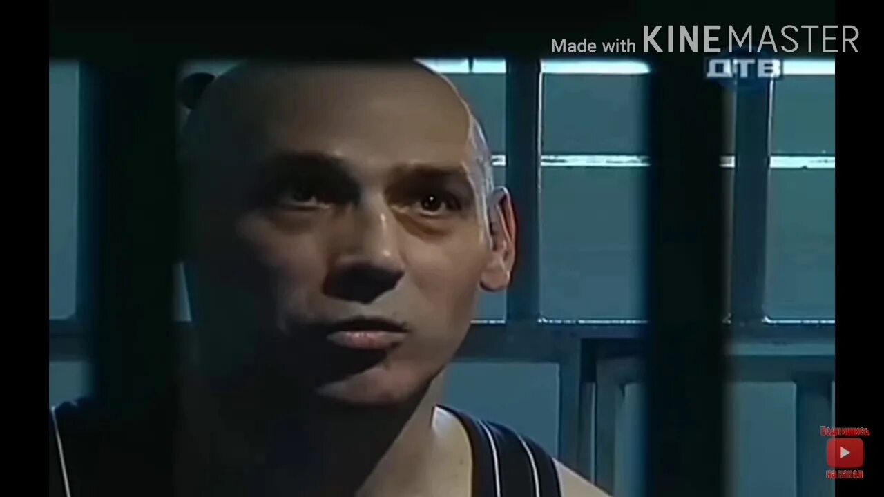 Маслич черный дельфин. Маслич черный дельфин. Маслич черный дельфин. Маслич черный дельфин. Черный дельфин пожизненно.