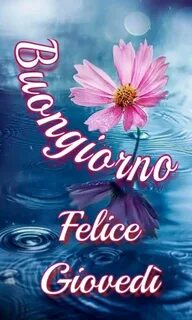 Buon Giovedì buona giornata - ImmaginiFacebook.it