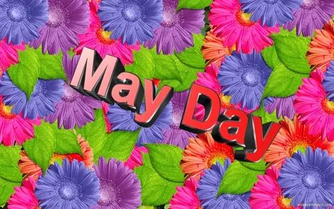May 01
