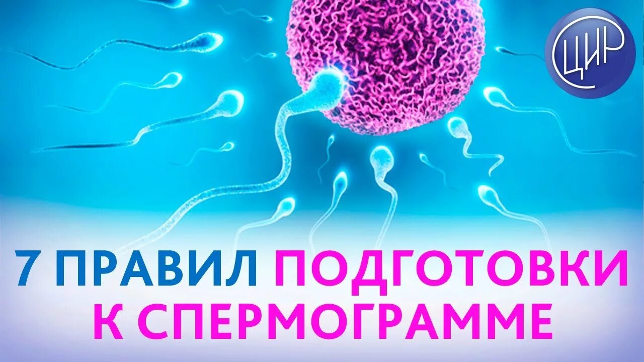 Подготовка к спермограмме. Подготовка к спермаграмма. подготовка к сдаче спермограммы. как подготовиться к сдаче спермограммы.