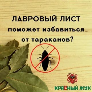 Лавровый лист отпугивает