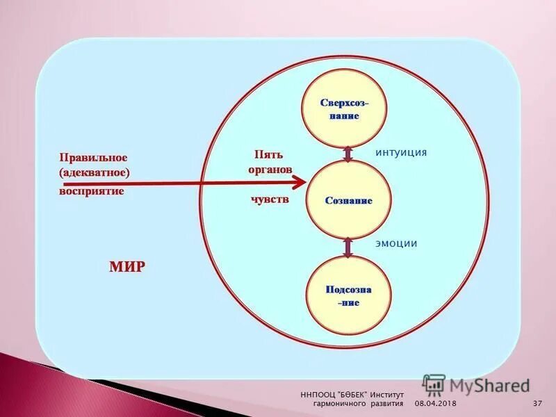 Институт игры и игрушки. Детский центр психологии. Детский психологический центр. Игра в институте. Детский психологический центр игра.