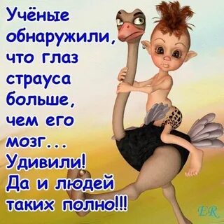 Картинки с леной прикольные смешные