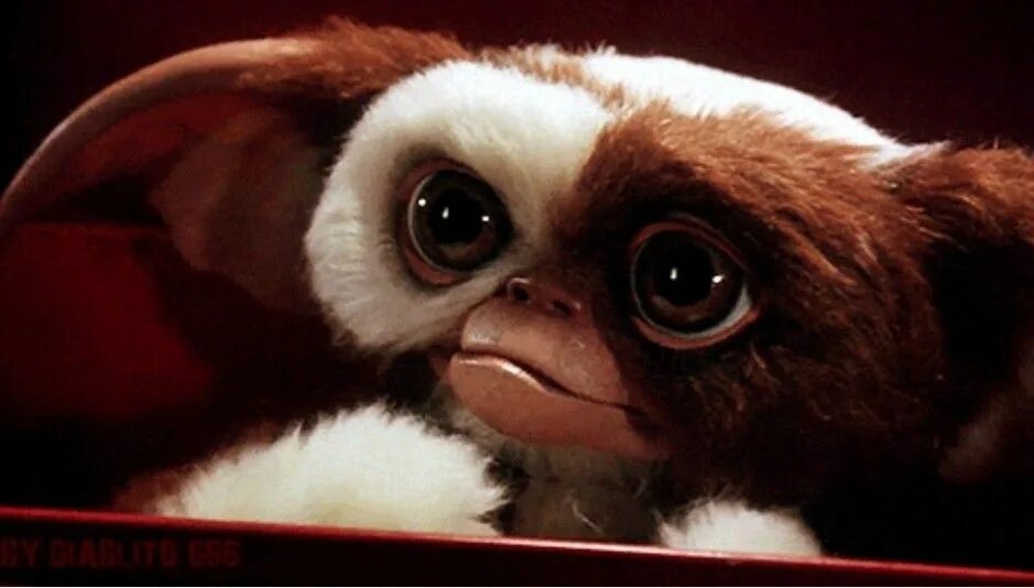 Pin on Gremlins