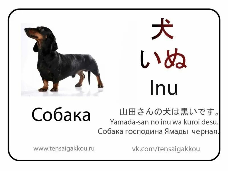 Как читается по японски. Собака на японском языке. животные на японском языке. японские клички для собак. название животных на японском языке.