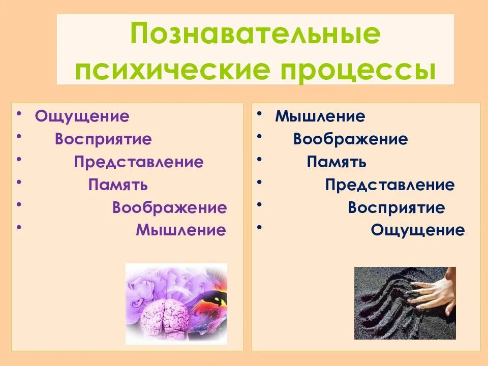 Восприятие память воображение мышление это. Восприятие память воображение мышление это