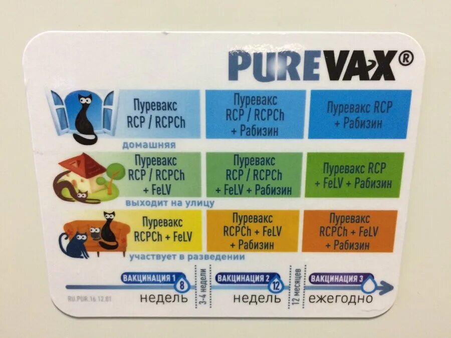 Пуревакс схема вакцинации кошек. Пуревакс вакцина для кошек. Purevax RCPCH вакцина для кошек. Пуревакс для кошек схема. Какая вакцина для кошек лучше