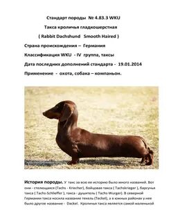 Такса для исчисления размера вреда