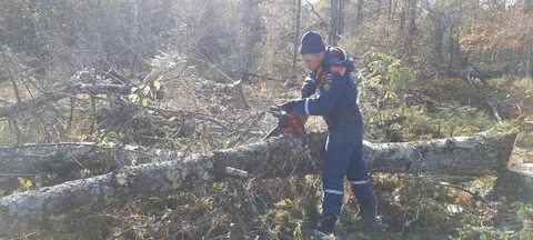 Под хабаровском