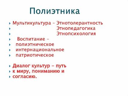 Полиэтническое общество