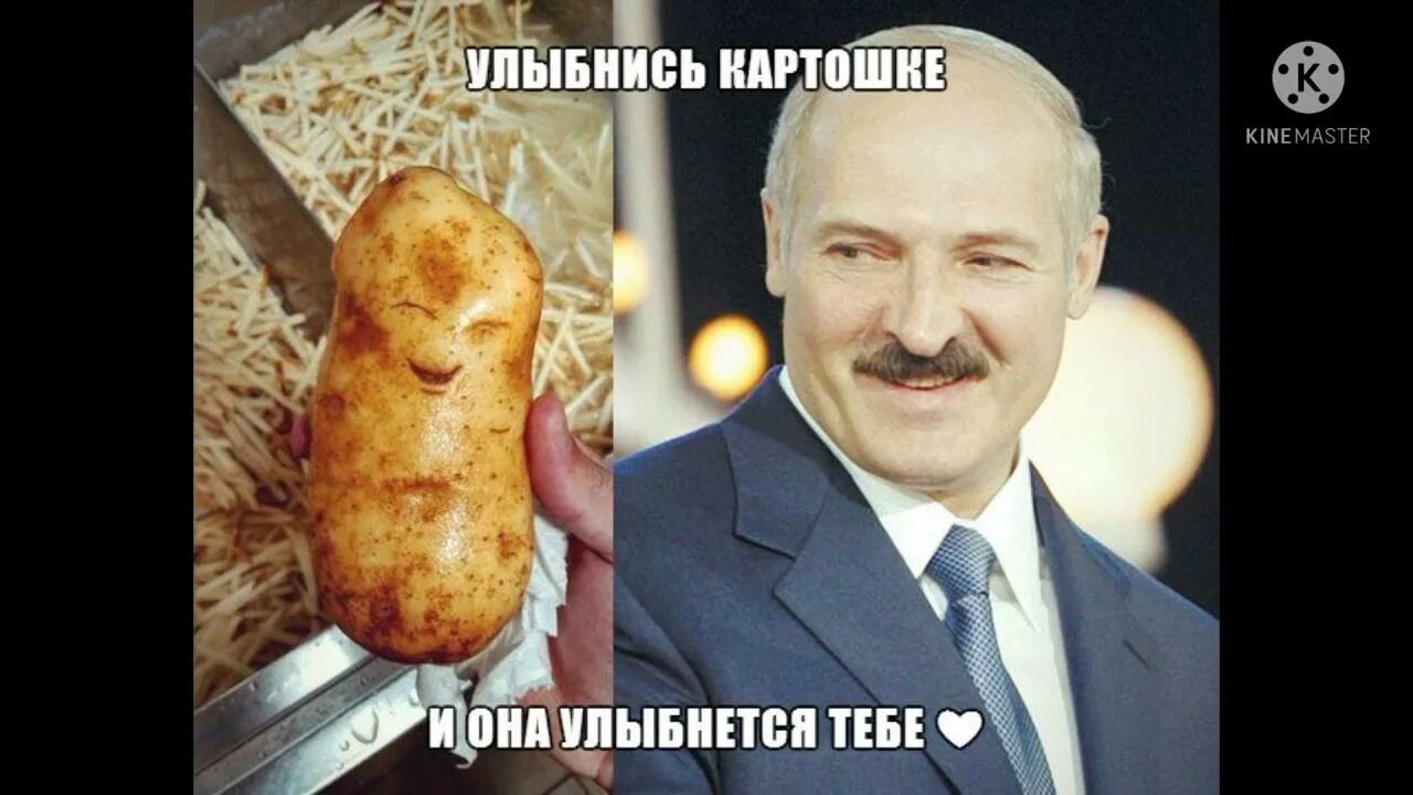Мем с картошкой. Лукашенко картофельный магнат. мемы про лукашенко и картошку. лукашенко мем картошка.