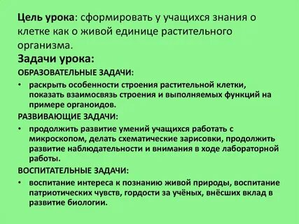 Клеточные задачи