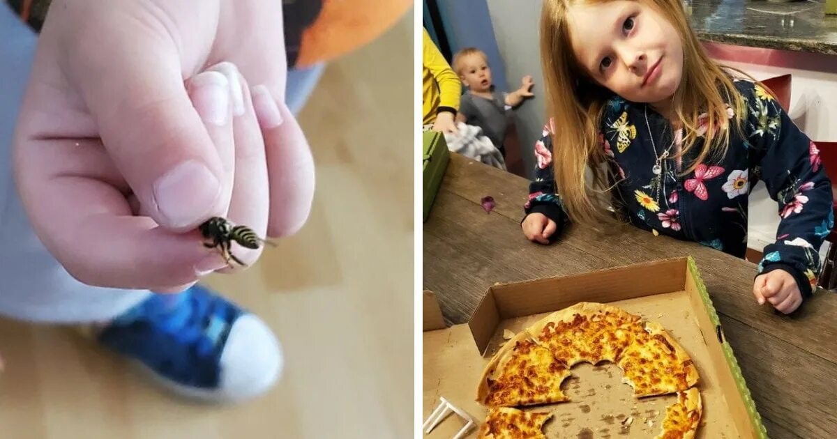 домовой в лаптях. панда из соленого теста. веселые проделки. кот ваза с водой прикол. забавная проделка.