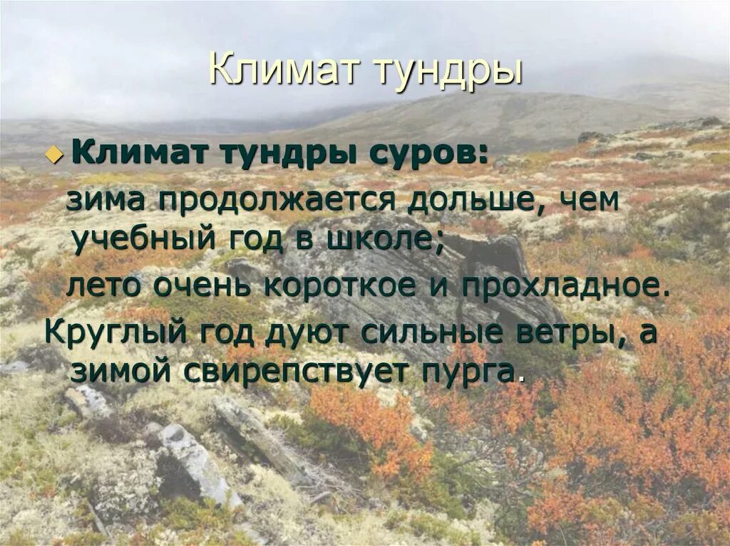 Особенности климата природной зоны тундры. Климат тундры. Природные условия тундры. Климатическая зона тундра. Климатические условия тундры.