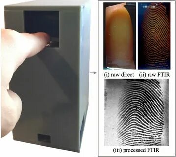 Device build fingerprint