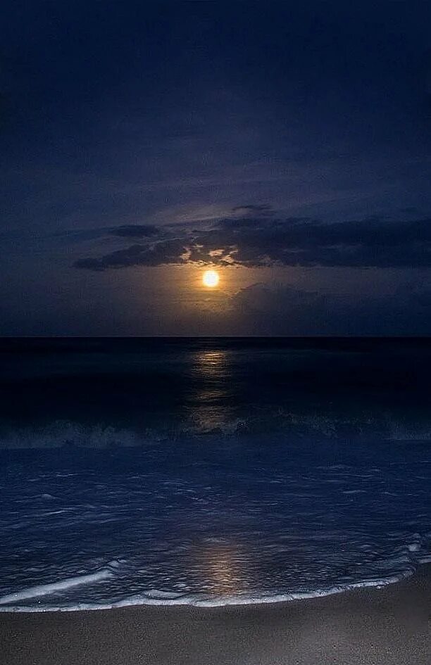 Мыс меганом светящийся планктон. Лунная дорожка на море. Ночное море. Черное море ночью. Черное море ночью.