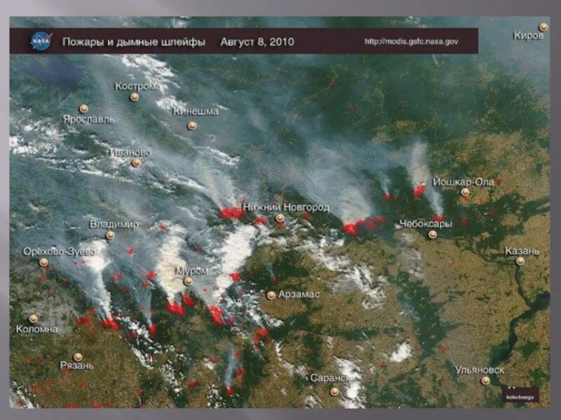 Карта пожаров области. Карта пожаров. Пожар со спутника. Карта пожаров в реальном времени. Мировая карта пожаров.