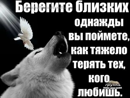 Песня берегите людей