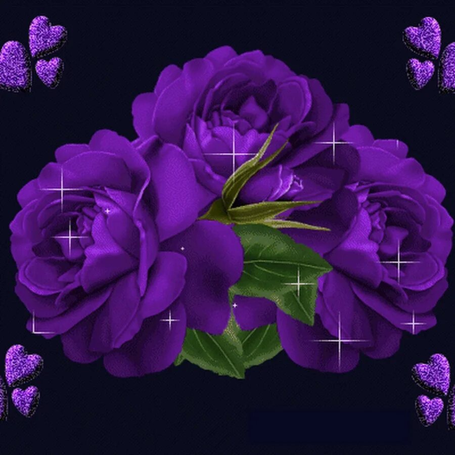 Анимационная картинка цветов. Фиолетовые розы. Анимационные цветы. Переливающиеся цветы. Анимированные цветочки.