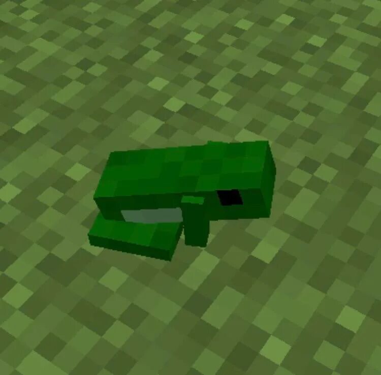 The man from the frog minecraft