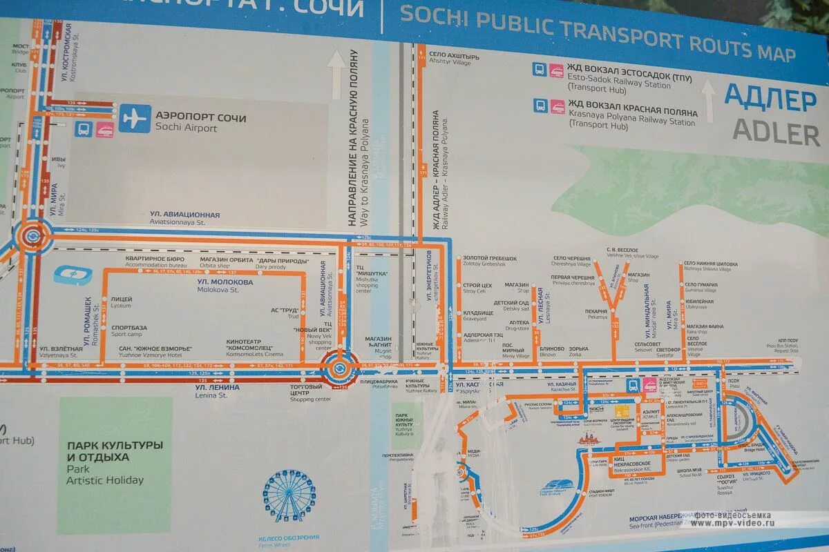 Маршруты автобусов в Адлере. Схема маршрутов общественного транспорта Адлер. Карта движения автобусов Адлер. Схема автобусов Адлер. Как добраться до адлера на автобусе
