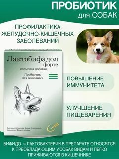 Лактобифадол для собак